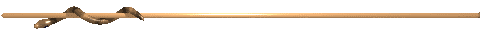 dividerbar78.gif